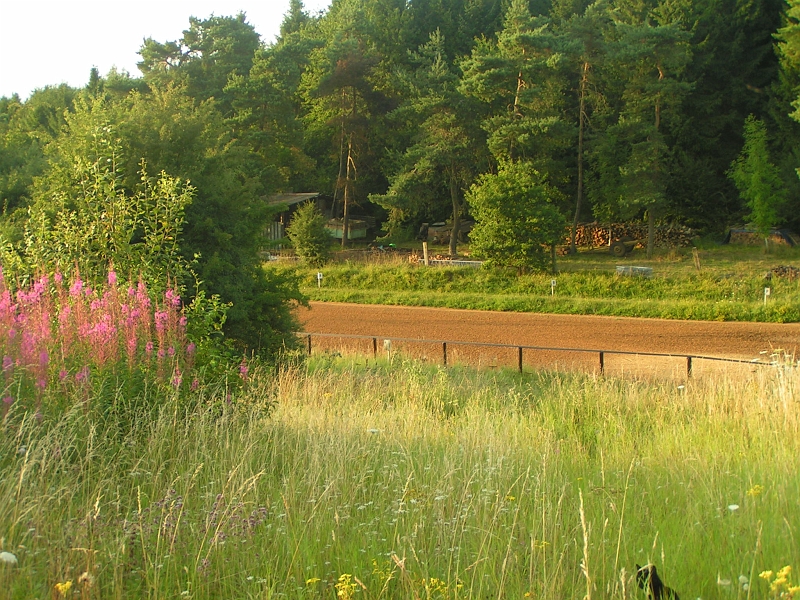 carrière dress(1).jpg